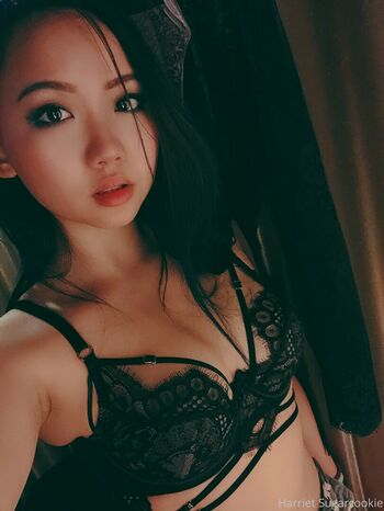 Harriet Sugarcookie