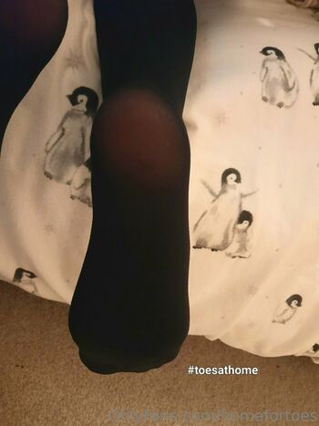 homefortoes