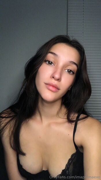 Imaprilmaexo