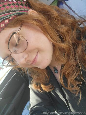 imgingersnap