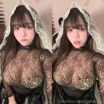 Imneko13