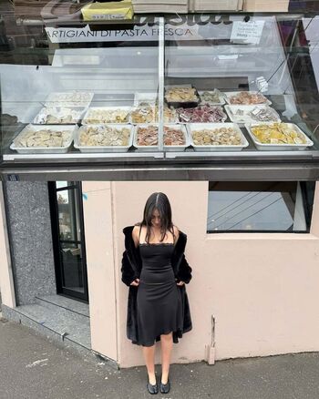 Inas Elashiry