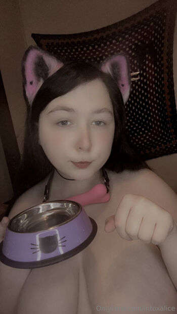 intoxalice