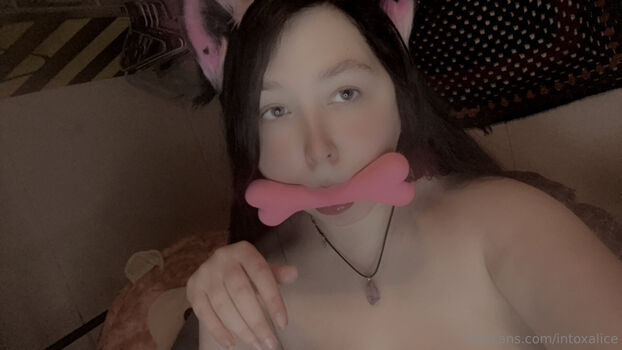 intoxalice