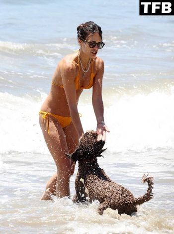 Jordana Brewster