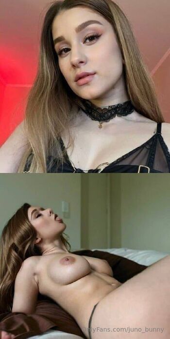 juno_bunny