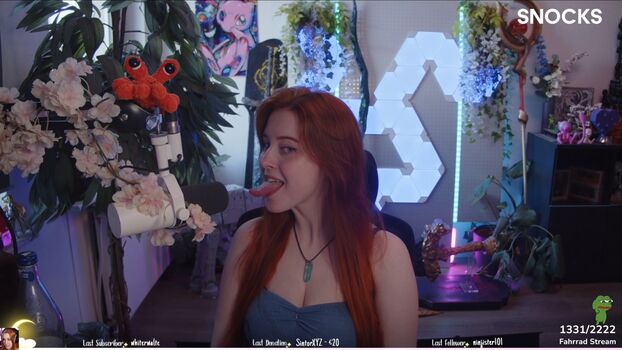 KDRkitten