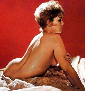 kimnovak