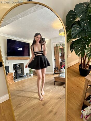 kitten_sophie