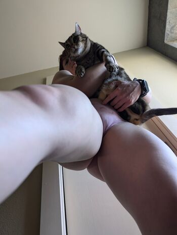 kitty_bit_games