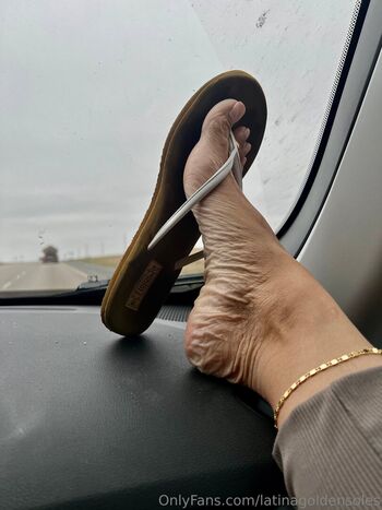 latinagoldensoles