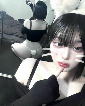 latulip_0