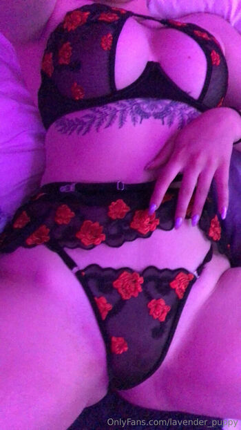 lavender_puppy