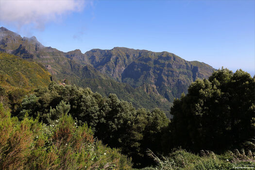 layanadevis