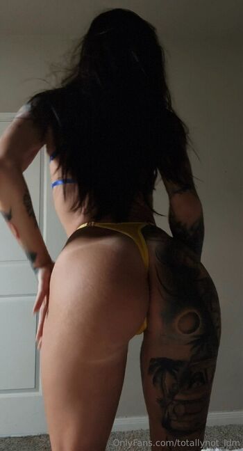 ldmfitmodel