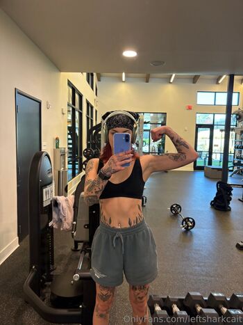 leftsharkcait