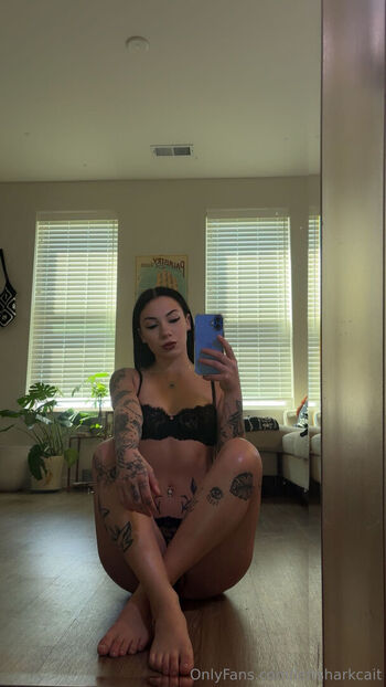 leftsharkcait