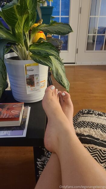 legsnangelwings