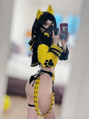 Lei ASMR