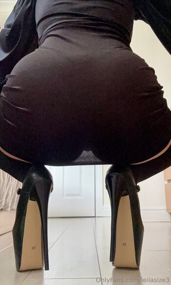 leilasize3