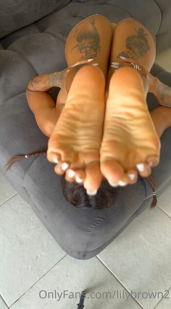lilybrown2