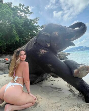 Lindsay