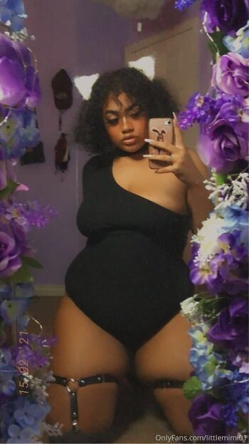 littlemimi01