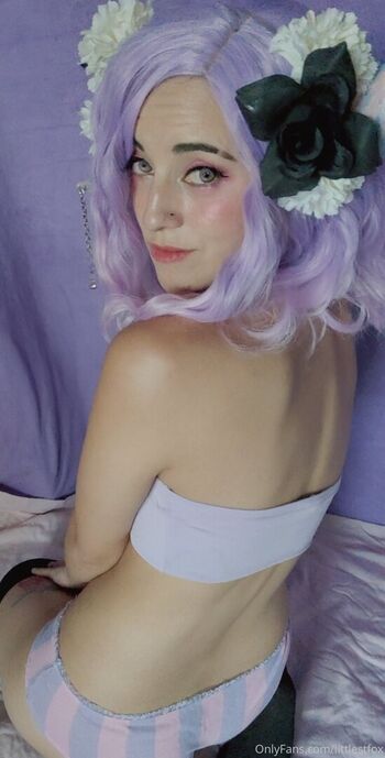 littlestfox