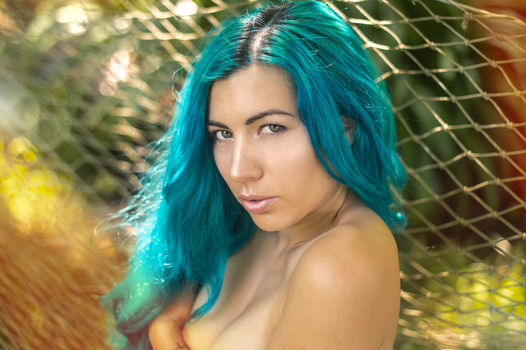Livay D. Punk