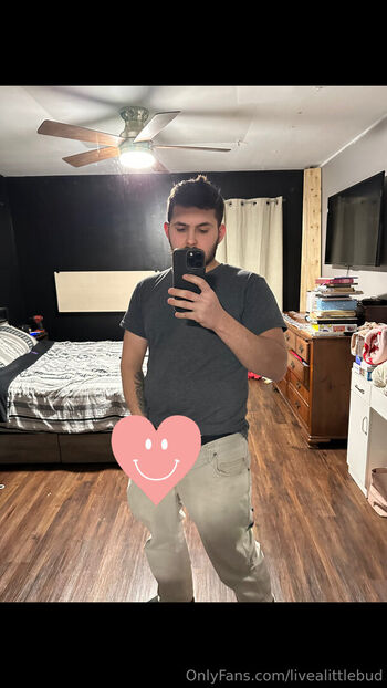 livealittlebud