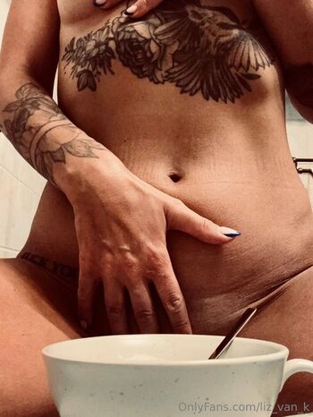 liz_van_k