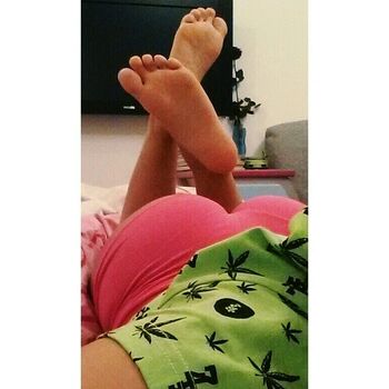 Ljubicasta Maca