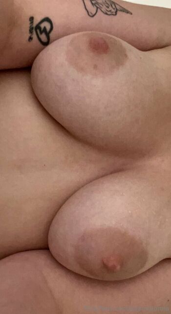 lolamotorola