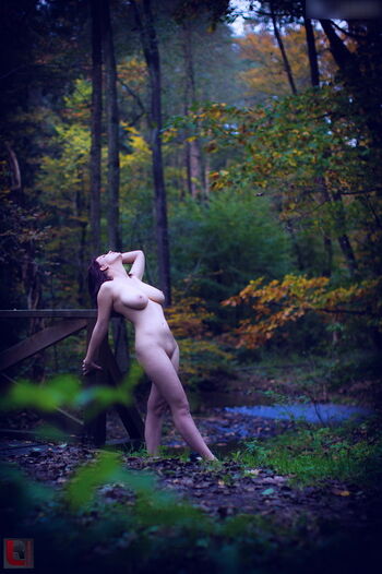 loona_lexxington