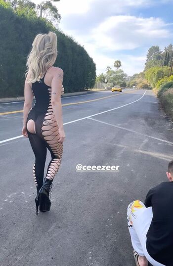 lottiemoss
