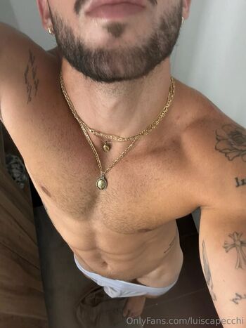 luiscapecchi