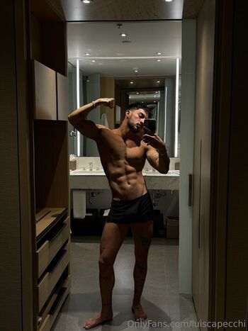 luiscapecchi