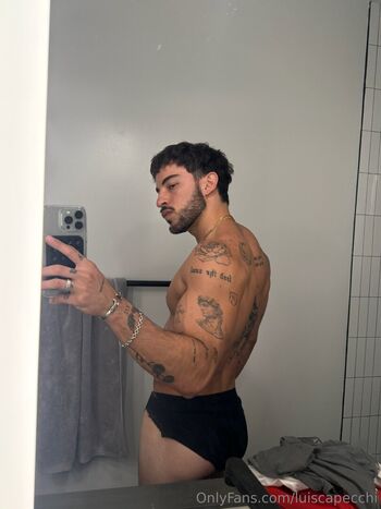 luiscapecchi