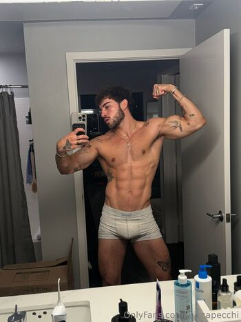 luiscapecchi