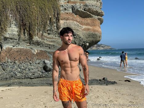 luiscapecchi