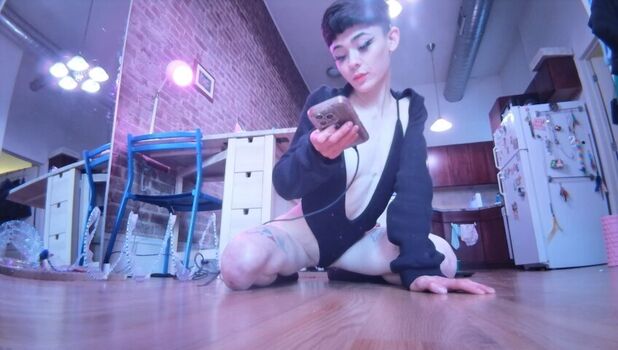 Magenta Lexx