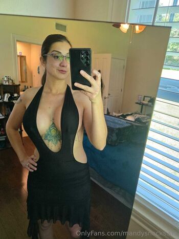 mandysnacks.sfs