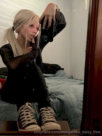 margaritka_daisy_free