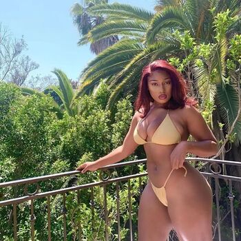 Megan The Stallion