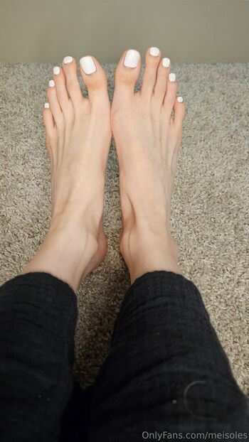 meisoles