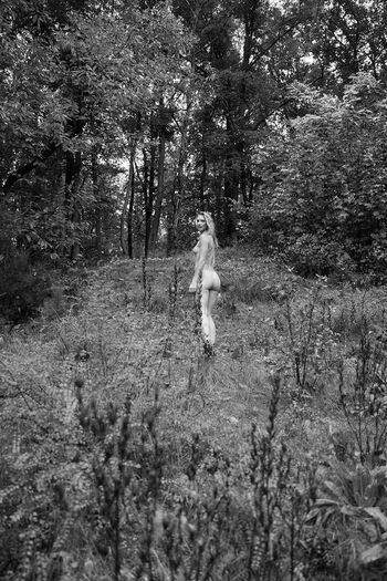 Merel Van Der Wouden