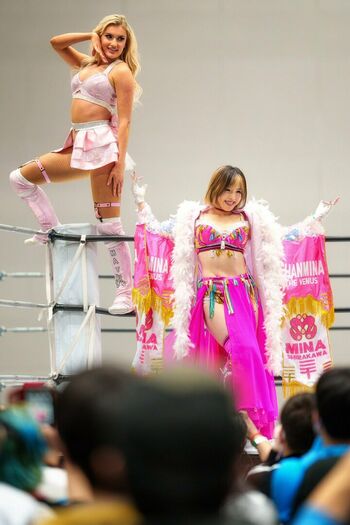 Mina Shirakawa