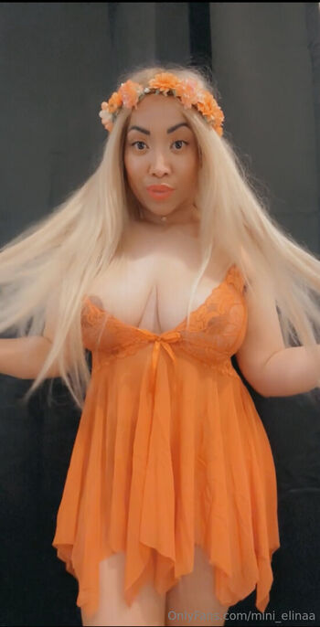 mini_elinaa