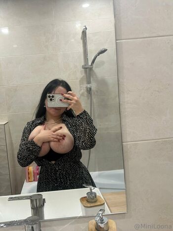 Miniloonaa