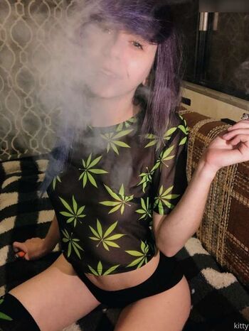 mintysesh